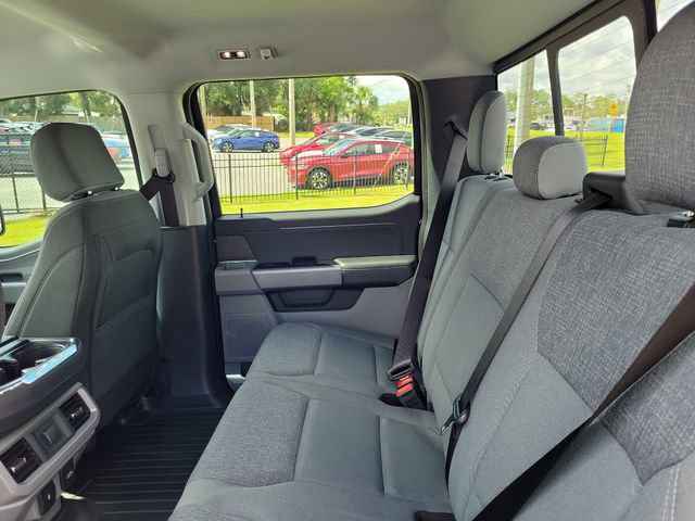 Used 2024 Ford F150 XLT w/ Equipment Group 302A MID RWD image 11