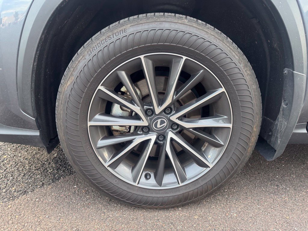 Used 2024 Lexus NX 350h AWD image 7
