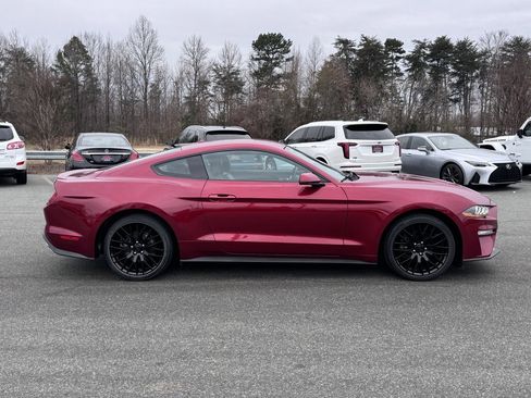 Used 2019 Ford Mustang Premium w/ Equipment Group 201A image 8