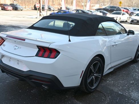 Used 2024 Ford Mustang Premium image 12