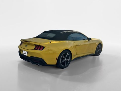 Used 2024 Ford Mustang Premium image 4
