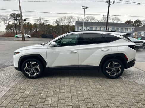 Used 2023 Hyundai Tucson Limited image 4
