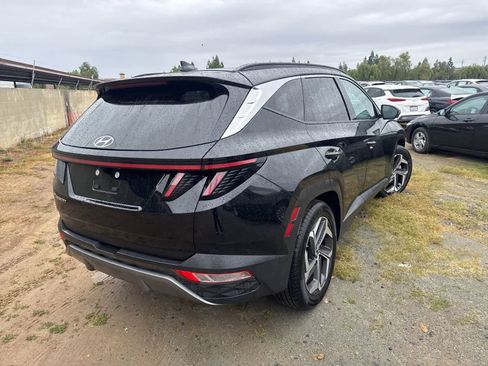 Used 2024 Hyundai Tucson Limited image 5