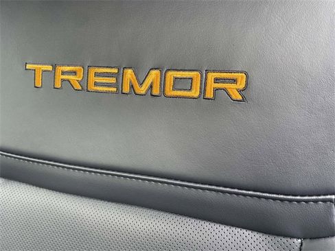New 2025 Ford Expedition Tremor image 13