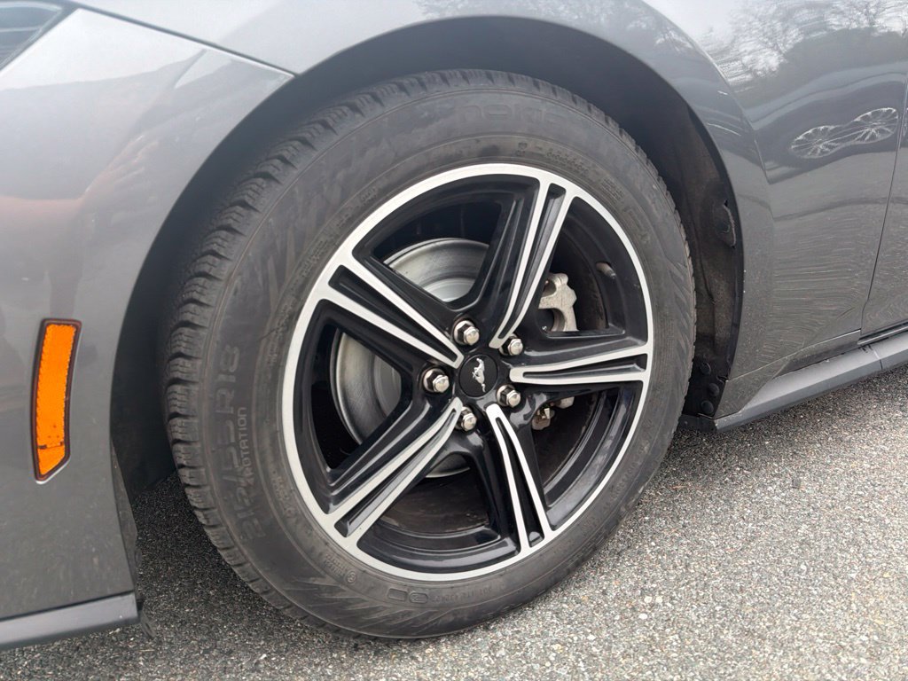 Used 2025 Ford Mustang Premium RWD image 4