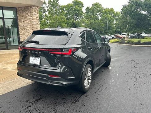 Used 2023 Lexus NX 350 AWD w/ Cold Area Package image 7