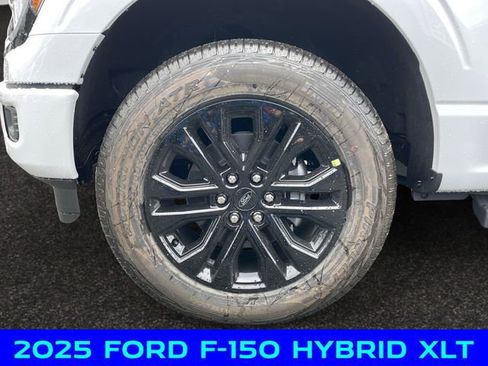 New 2025 Ford F150 XLT w/ Equipment Group 302A MID AWD/4WD image 14