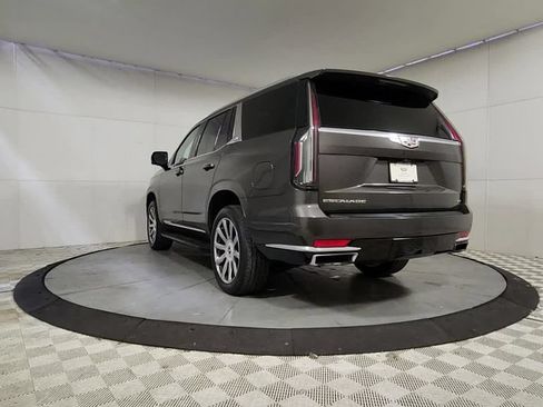 Used 2021 Cadillac Escalade Premium Luxury Platinum AWD/4WD image 6