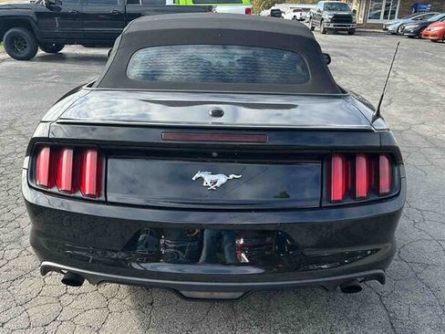 Used 2017 Ford Mustang Premium image 4