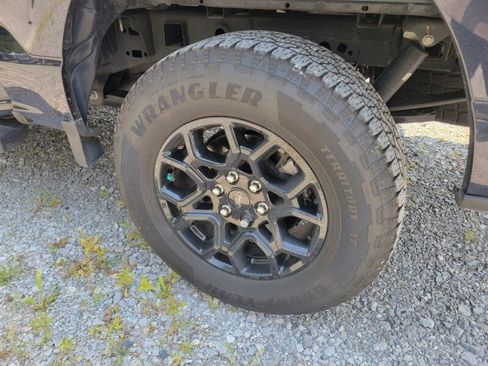 Used 2025 Ford F150 XLT w/ Equipment Group 301A Standard AWD/4WD image 7