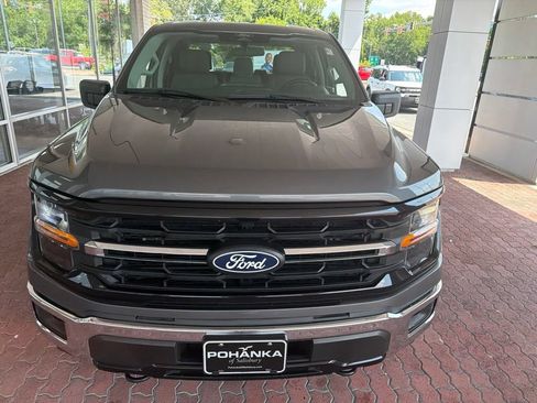 Used 2025 Ford F150 XLT w/ Equipment Group 301A Standard AWD/4WD image 3