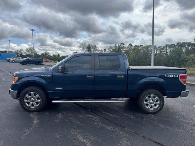 Used 2014 Ford F150 XLT w/ Equipment Group 302A Luxury AWD/4WD image 6