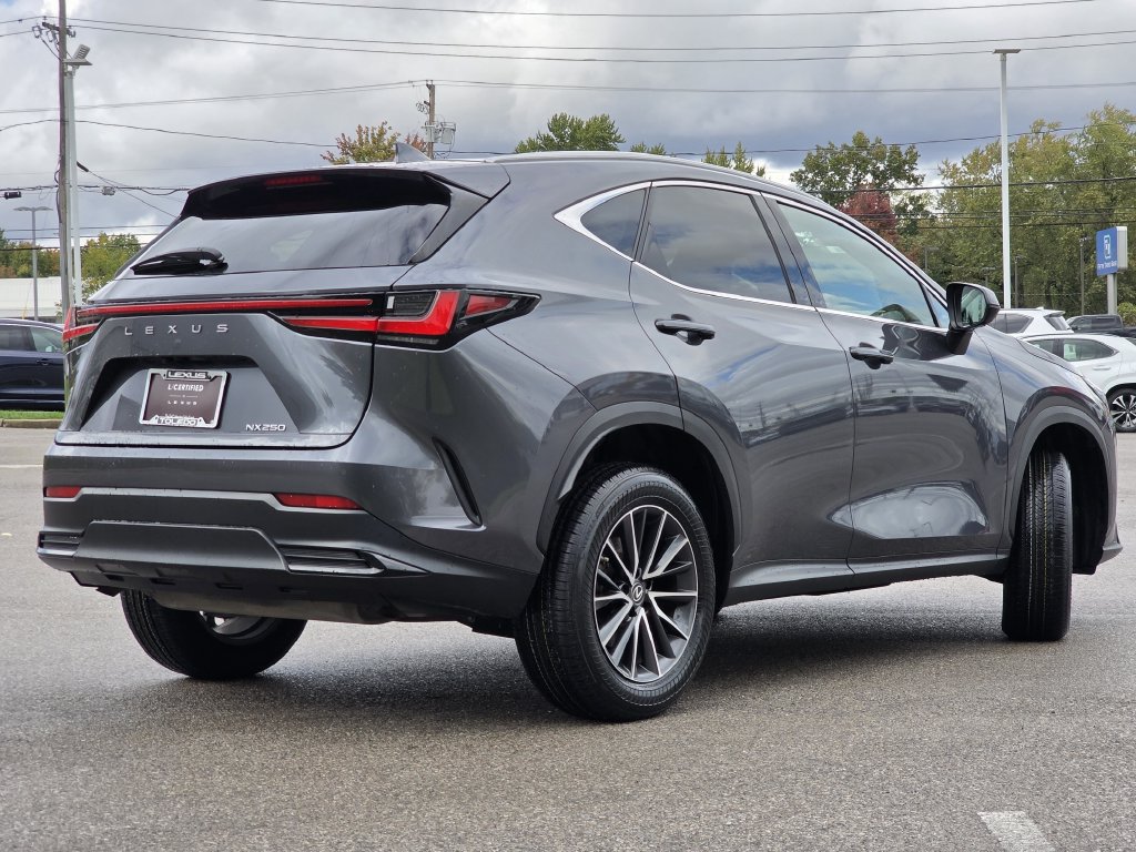 Certified 2022 Lexus NX 250 FWD image 10