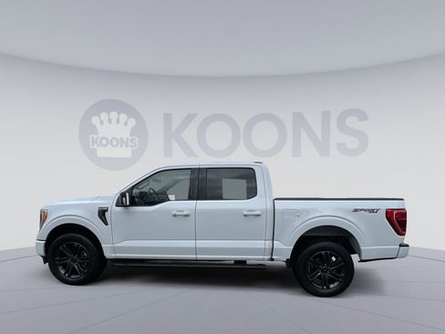 Used 2022 Ford F150 XLT w/ Equipment Group 302A High image 2