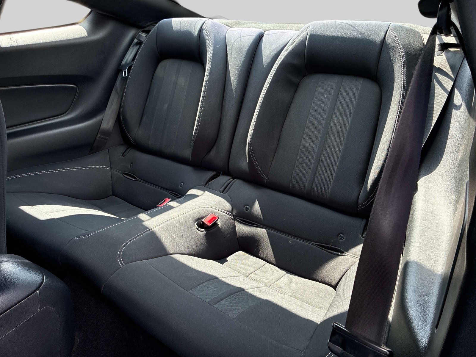 Used 2019 Ford Mustang Coupe RWD image 14