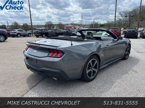 Used 2024 Ford Mustang Premium RWD image 3