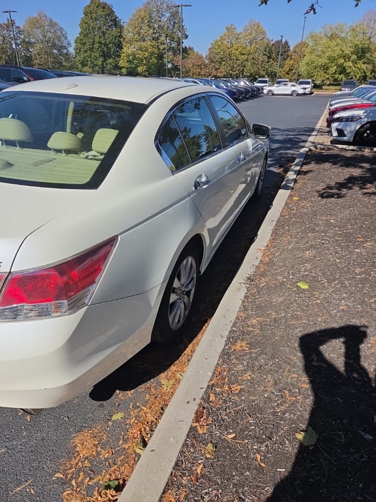 Used 2011 Honda Accord EX-L image 4