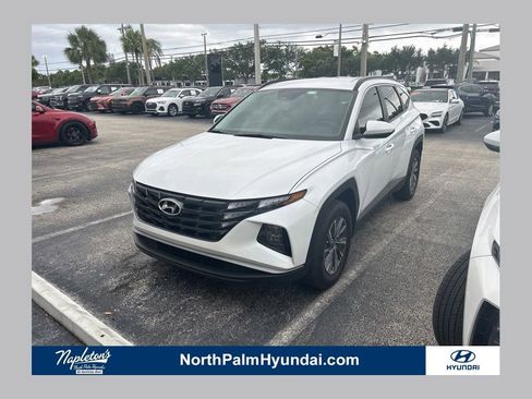 Used 2024 Hyundai Tucson Blue AWD/4WD image 1