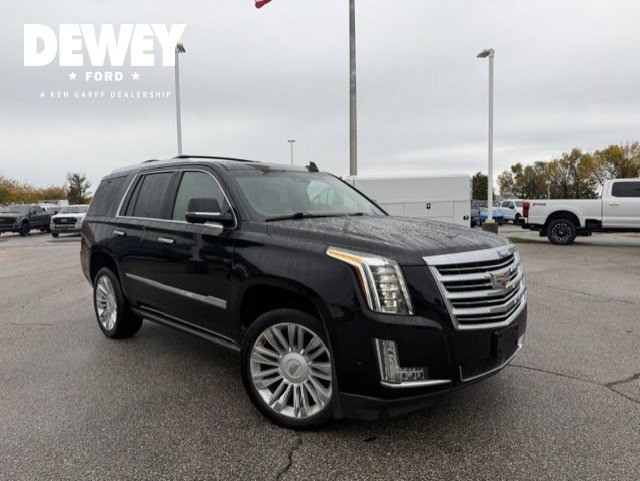 Used 2017 Cadillac Escalade Platinum AWD/4WD image 1