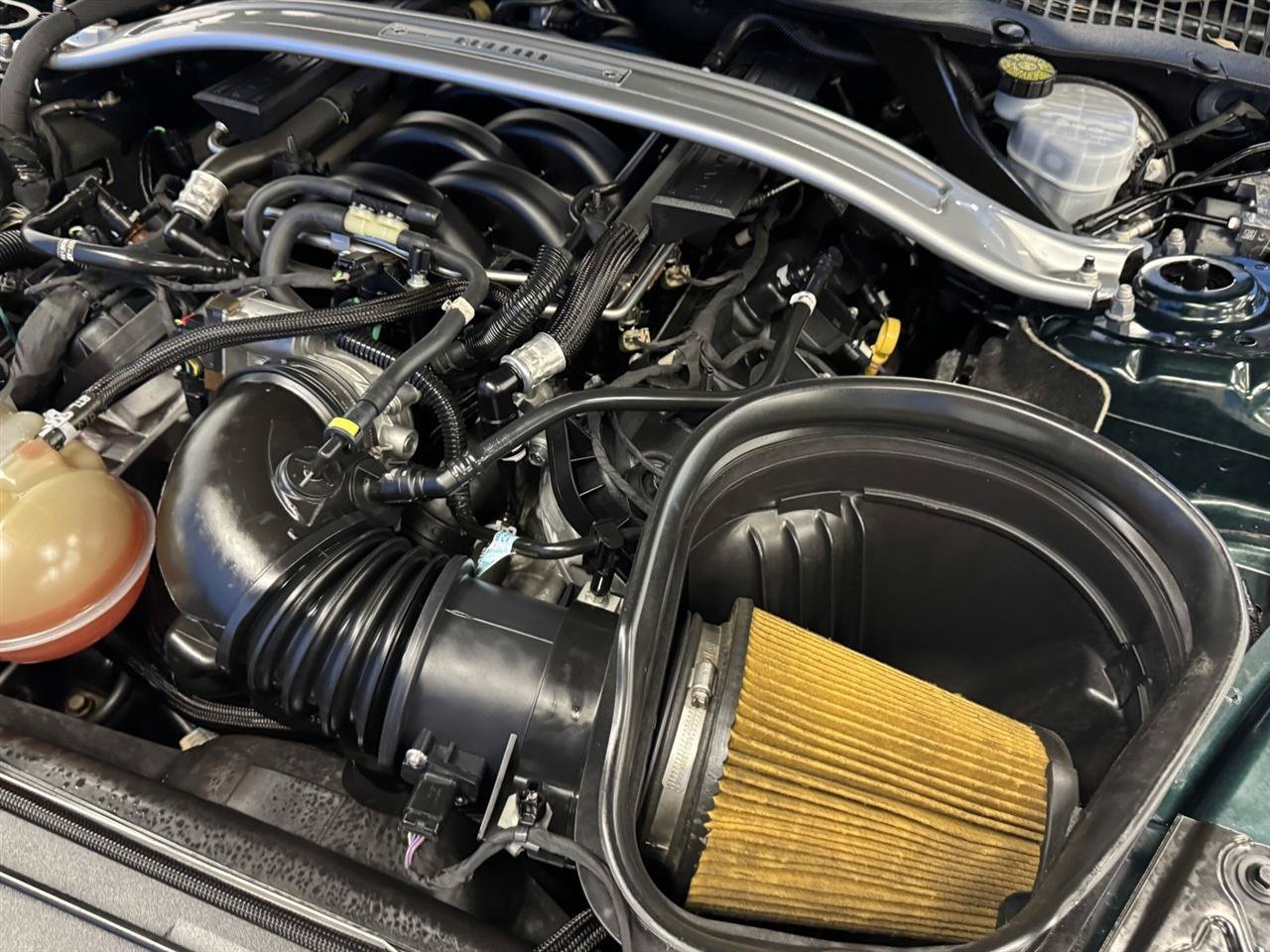 Used 2019 Ford Mustang Bullitt RWD image 22