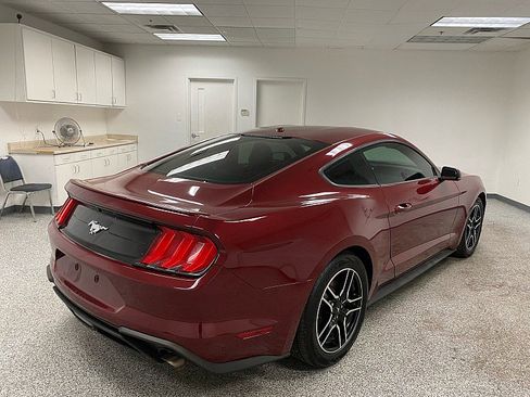 Used 2019 Ford Mustang Premium w/ Equipment Group 201A image 5