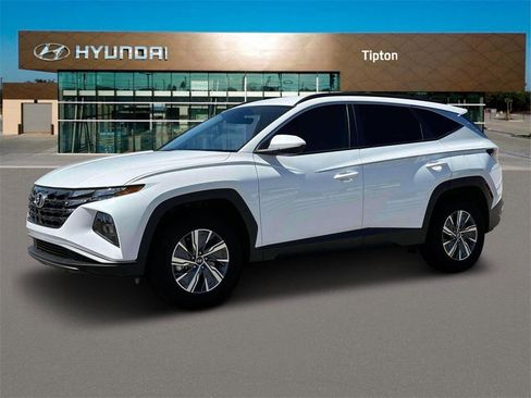 Used 2024 Hyundai Tucson Blue image 2