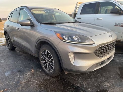 Used 2021 Ford Escape SEL image 6