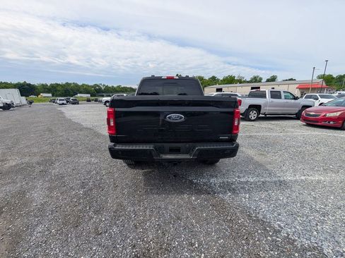 Used 2023 Ford F150 XLT w/ Equipment Group 302A High AWD/4WD image 5
