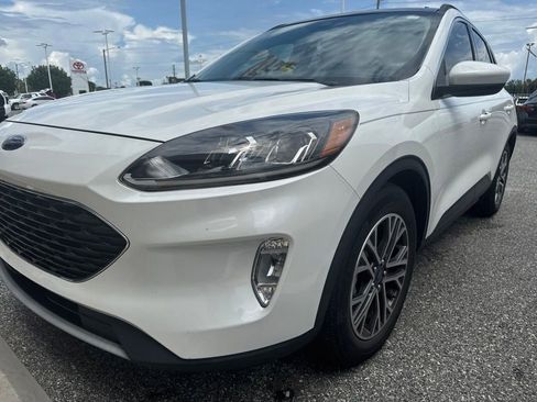 Used 2020 Ford Escape SEL FWD image 1