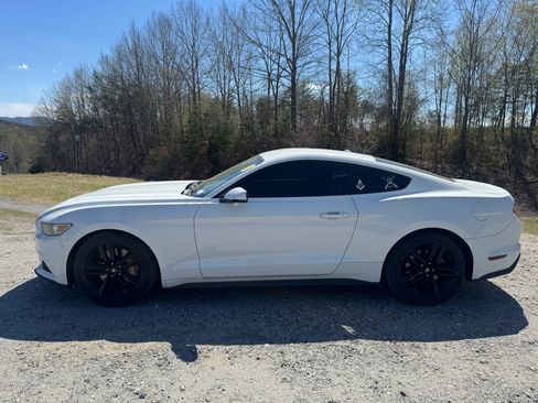 Used 2015 Ford Mustang Premium w/ Ecoboost Performance Package image 4