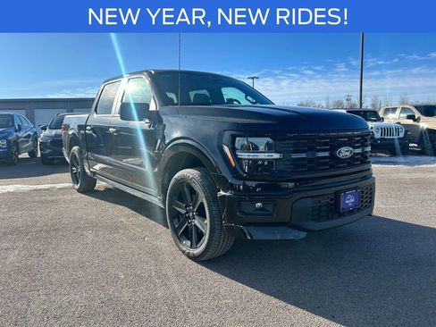 New 2025 Ford F150 STX w/ LOBO Package image 8