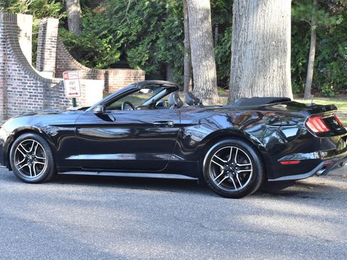 Used 2019 Ford Mustang Premium image 5