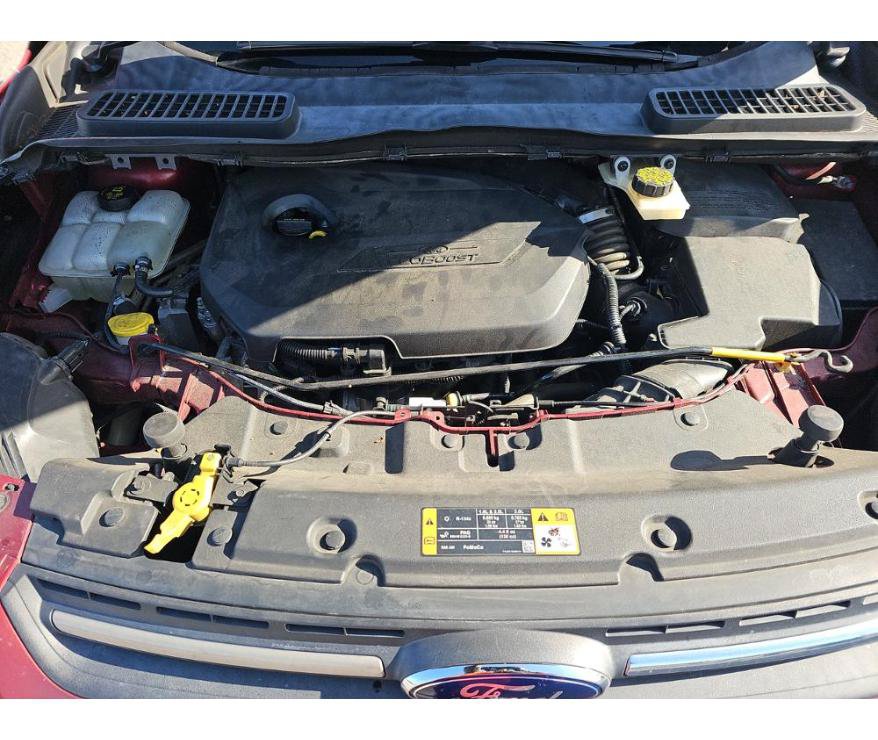 Used 2014 Ford Escape SE FWD image 19
