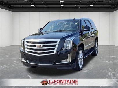 Used 2019 Cadillac Escalade Luxury
