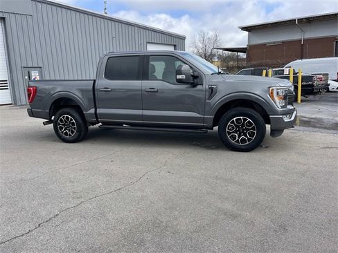 Used 2023 Ford F150 XLT w/ Equipment Group 302A High image 2