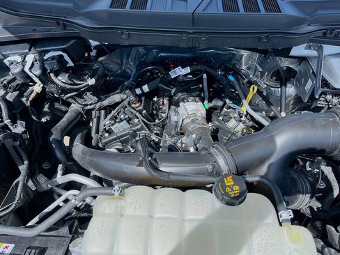 Used 2025 Ford F150 STX w/ Equipment Group 200A RWD image 28