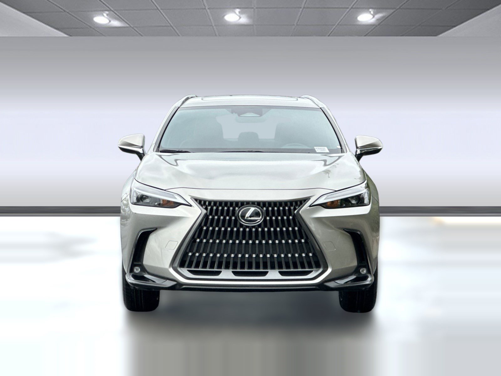 Used 2024 Lexus NX 350h AWD w/ Cold Area Package image 6