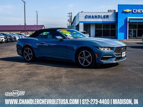 Used 2024 Ford Mustang Premium image 1