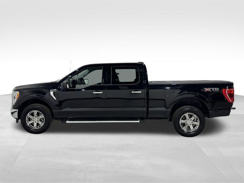 Used 2023 Ford F150 XLT w/ Equipment Group 302A High AWD/4WD image 14