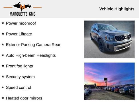 Used 2023 Kia Telluride SX image 9