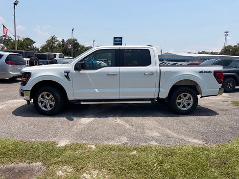 Used 2025 Ford F150 XLT w/ Equipment Group 301A Standard AWD/4WD image 8
