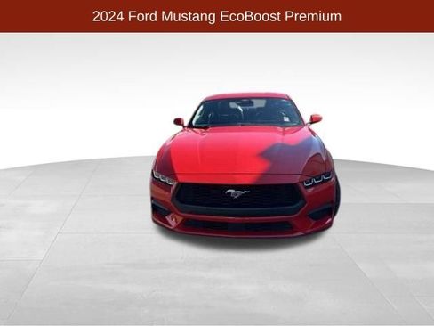 Used 2024 Ford Mustang Premium RWD image 2