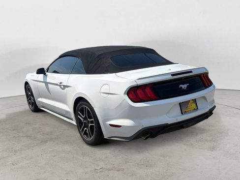 Used 2019 Ford Mustang Premium RWD image 5