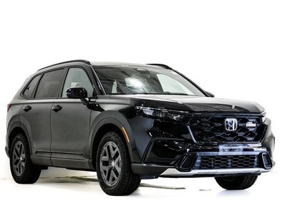 Used 2026 Honda CR-V TrailSport