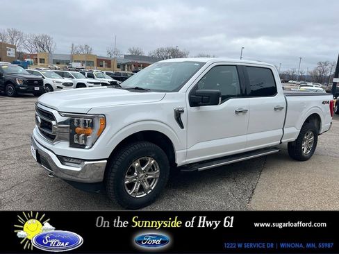 Used 2021 Ford F150 XLT w/ Equipment Group 302A High AWD/4WD image 1