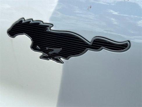 New 2024 Ford Mustang Mach-E Select w/ Comfort Package Lite image 10