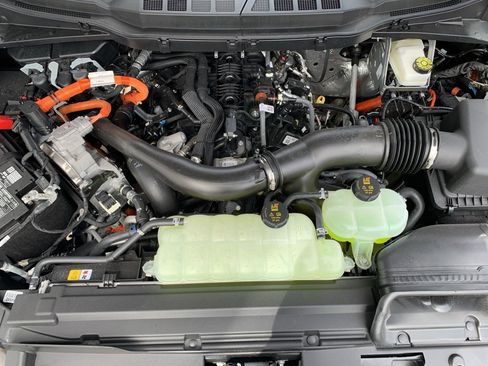 New 2025 Ford F150 XLT w/ Equipment Group 302A MID image 69