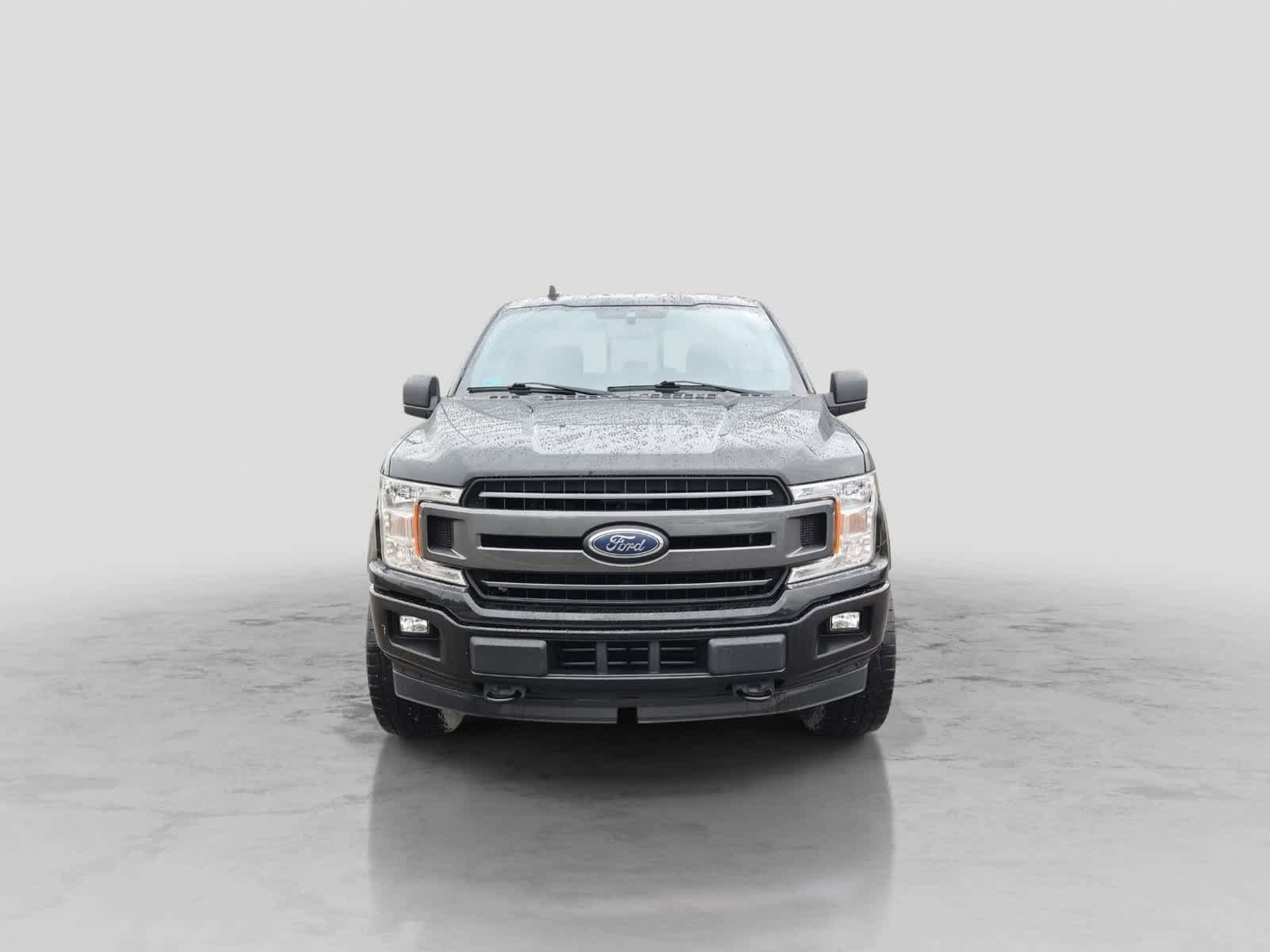 Used 2019 Ford F150 XLT w/ Equipment Group 302A Luxury AWD/4WD image 3