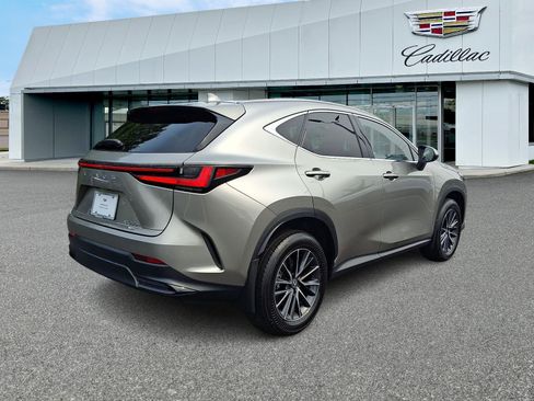 Used 2024 Lexus NX 350 AWD w/ Cold Area Package image 6