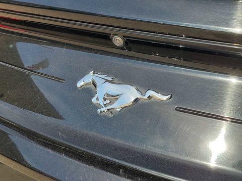 Used 2023 Ford Mustang Premium image 7